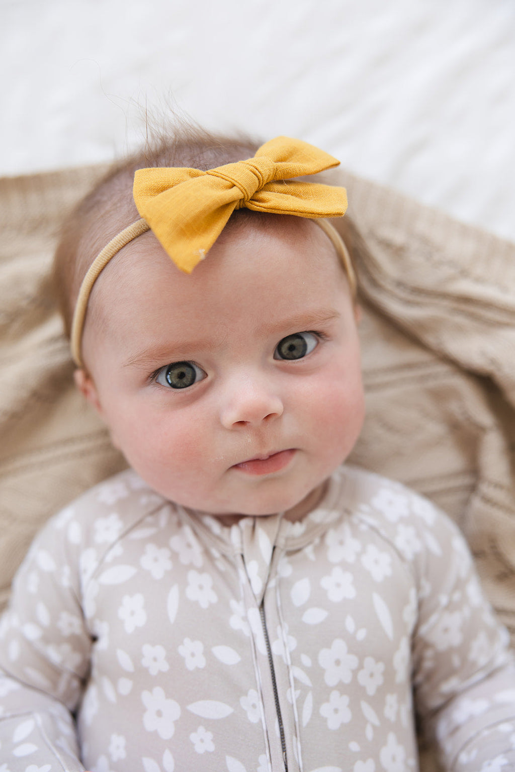 Calista - Zippy