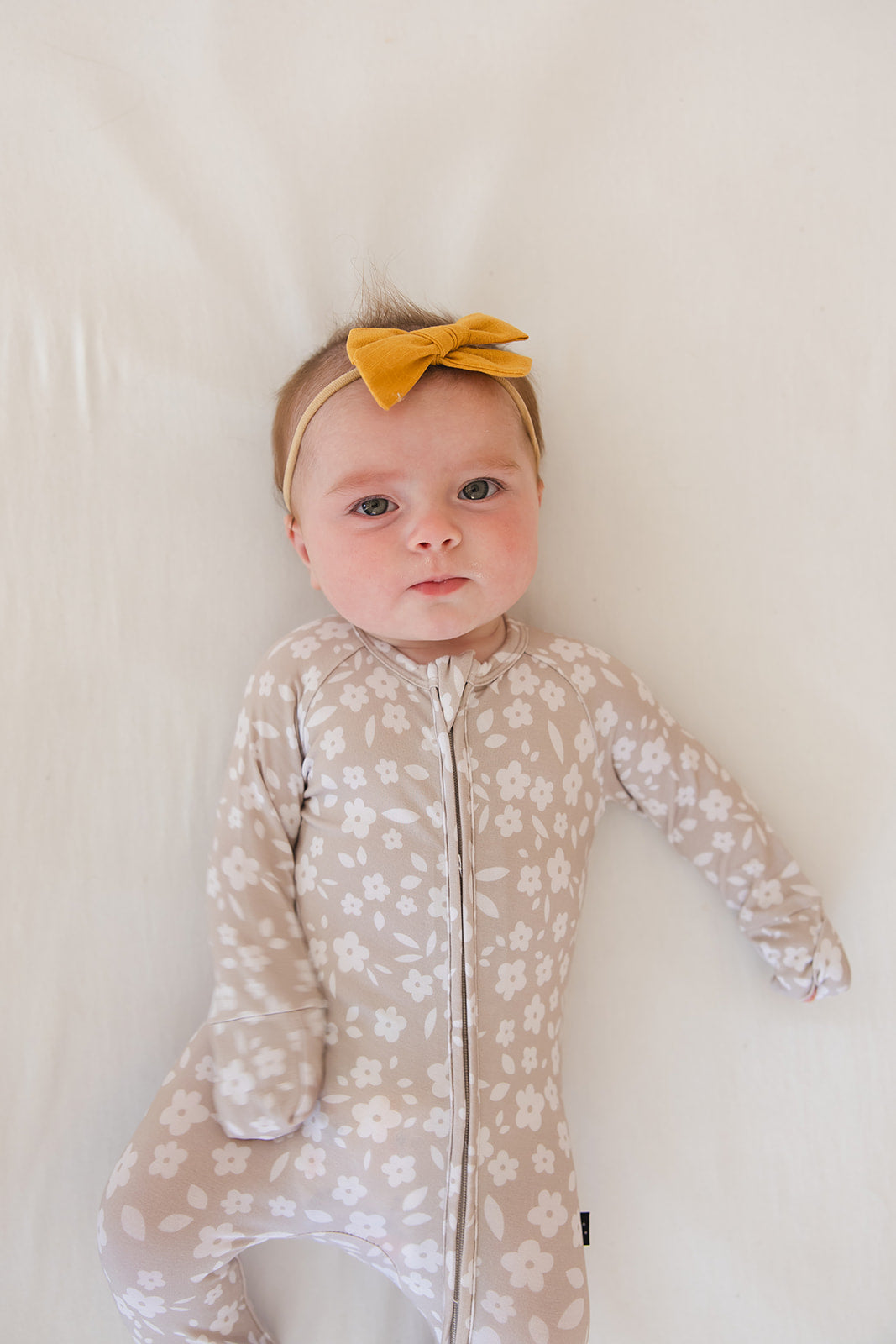 Calista - Zippy