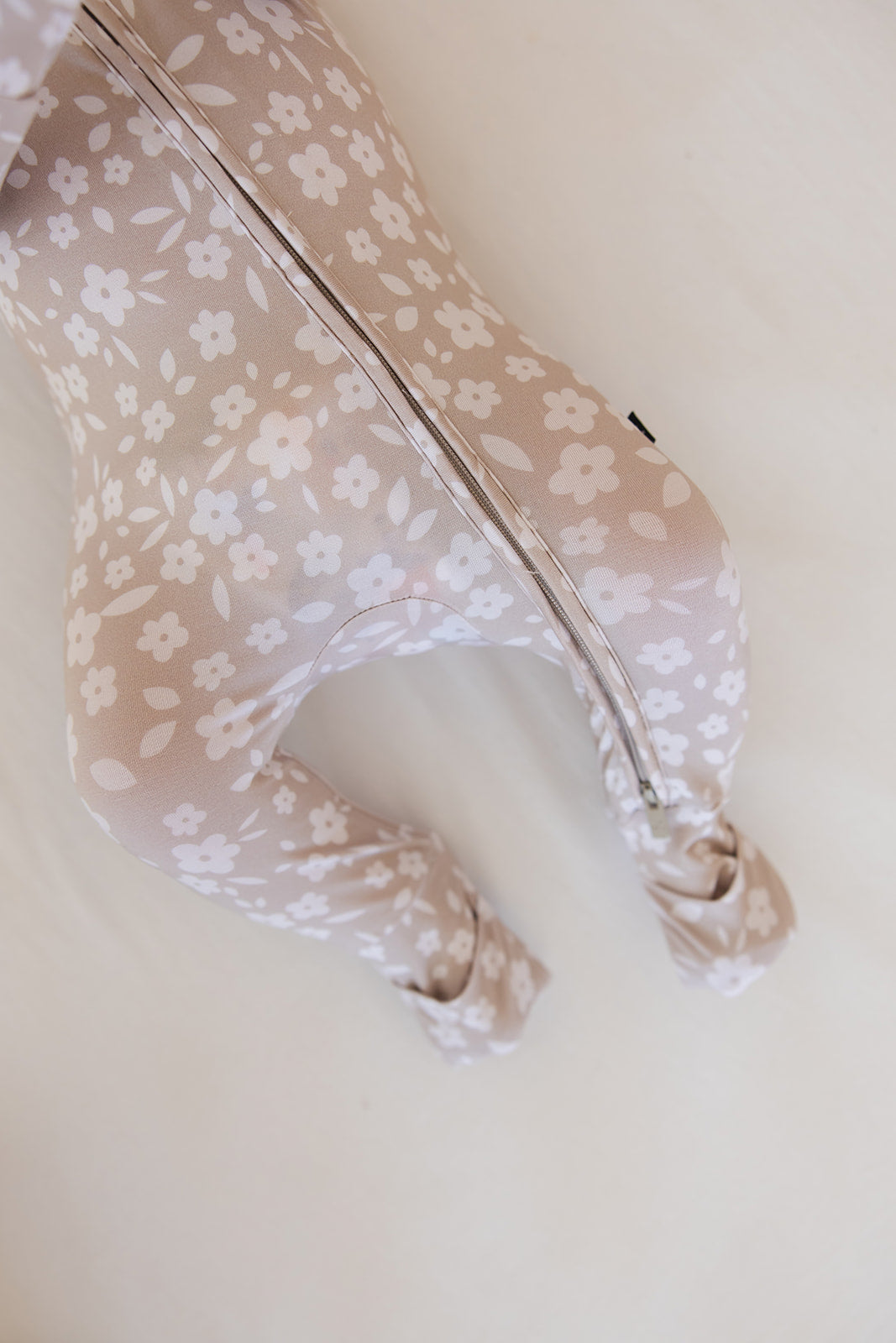 Calista - Zippy