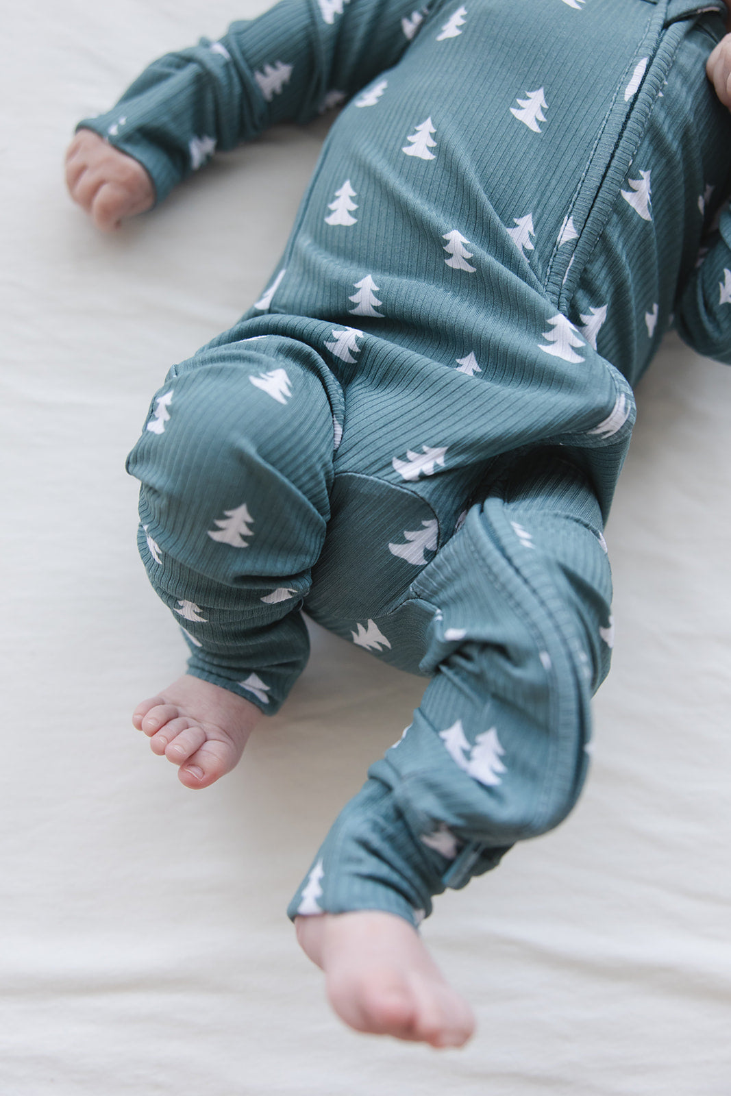 Northern Pine (ribbed) - Zippy